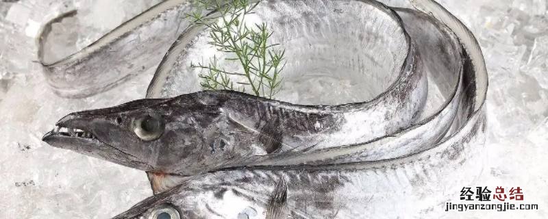 黄眼带鱼和白眼带鱼哪个好吃 白眼带鱼和黄眼带鱼有什么区别