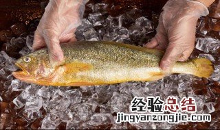 黄花鱼是淡水鱼还是海水鱼 养殖黄花鱼是淡水鱼还是海水鱼
