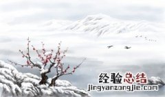 关于雪的诗句 关于雪的诗句推荐