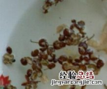 花椒水的功效与作用治疗皮肤瘙痒症 花椒水的功效与作用