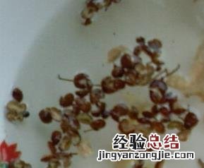花椒水的功效与作用治疗皮肤瘙痒症 花椒水的功效与作用