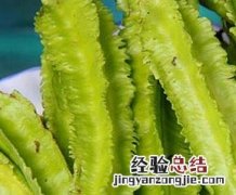 四棱豆图片 四棱豆图片豆味道怎样