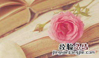 违法乱纪有哪些 违法乱纪是什么意思