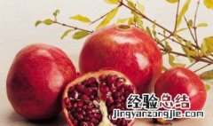 石榴的拼音 石榴介绍