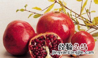 石榴的拼音 石榴介绍