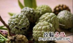 番荔枝怎么吃才是正确的吃法 番荔枝怎么吃