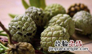 释迦果怎样才算熟 释迦果怎样才算熟透
