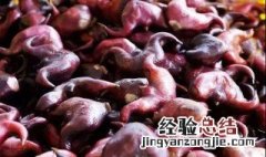 菱角怎么吃最简单好 菱角怎样吃好