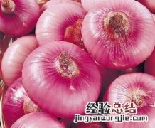 洋葱对前列腺的好处与坏处 洋葱对前列腺的好处