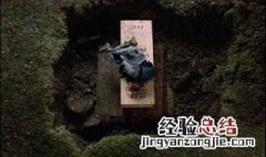 风雨哈佛路经典台词 五句经典中英台词