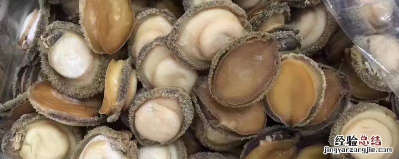干鲍鱼泡发多久 鲍鱼干泡发时间长了能吃吗