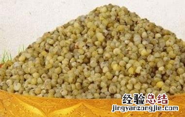 绿小米的的作用与功效 绿小米的营养价值