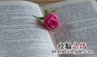 字斟句酌是什么意思 字斟句酌什么意思解释