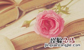 雅量高致是什么意思 高情雅量是什么意思