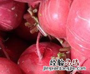 红萝卜的食用价值 红萝卜的价值和作用