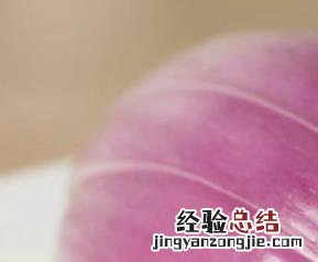洋葱酵素怎么做出来的 洋葱酵素怎么做
