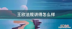 法规王欣介绍 王欣法规讲得怎么样