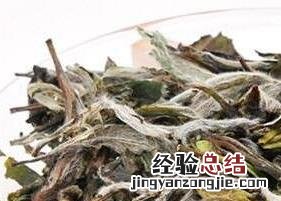 喝老白茶有什么好处 喝老白茶的好处有哪些