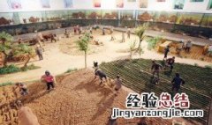 农耕文化的起源和发展 农耕文明的起源