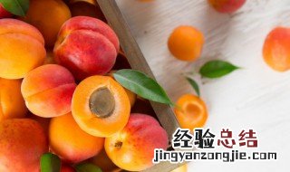 关于水果营养的小知识 关于水果营养的小知识简短