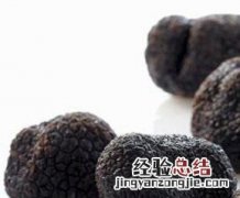 黑松露是什么味道 黑松露是什么