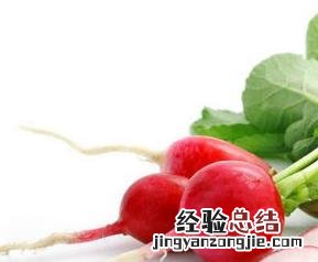 红色的萝卜怎么吃 红色的萝卜怎么吃才好吃