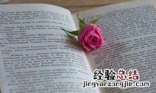 同年而校是什么意思