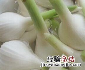 野蒜怎么腌制 野蒜怎么腌制保存时间长