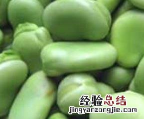 胡豆的功效与作用