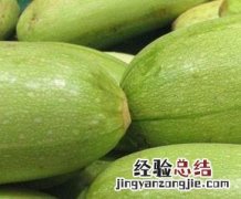 笋瓜的功效与作用 笋瓜的功效与作用及营养价值