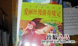 爱丽丝漫游奇境记主要内容 爱丽丝漫游奇境记简介