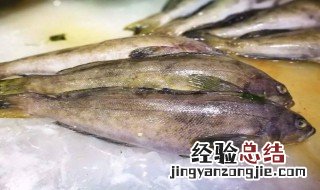 在鱼塘里放几条黑鱼会怎么样 鱼塘里能放黑鱼吗