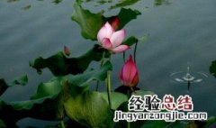 关于夏天的诗 推荐以下十首诗