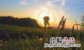 高情商正能量的句子 正能量的高情商说说