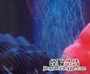 七彩神仙财神鱼图片 财神鱼图片