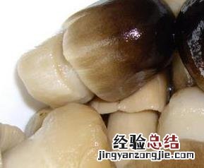 草茹怎么吃 草茹与什么不可以一起吃