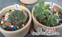 薄化妆怎么服盆 怎样养护薄化妆