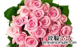 玫瑰花叶子上有白色怎么回事 玫瑰花叶子上长白霜是怎么回事