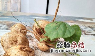 酸沙葛腌制方法 腌制酸沙葛的做法介绍