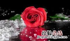 日本国家送花的习俗 日本人的送花礼仪