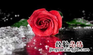 日本国家送花的习俗 日本人的送花礼仪