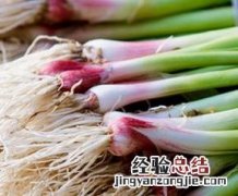 蒜苗的功效与作用及营养价值 蒜苗的功效与作用