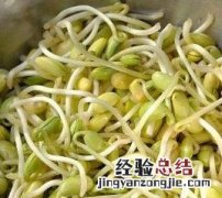 黄豆芽变绿可以吃吗图片 黄豆芽变绿可以吃吗