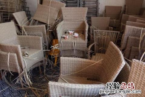 农村商机好项目有哪些 适合农村致富商机