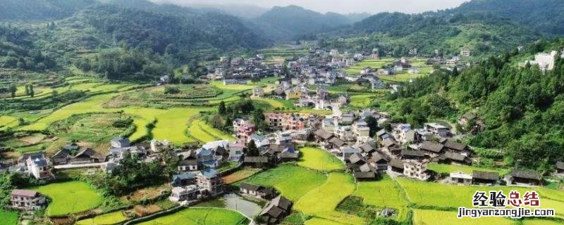 农村商机好项目有哪些 适合农村致富商机