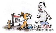 狂犬病10日观察法是什么 主要指狂犬病发病周期为10天