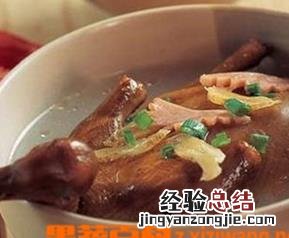 鸽子的功效与作用害处 鸽子的功效与作用
