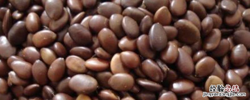 中国的粮食种子来源，中国粮食进口比例