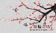 梅花的传说故事100字 梅花的传说