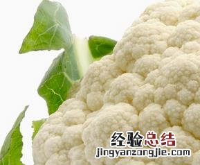 花椰菜的功效与作用及营养价值 花椰菜的功效与作用
